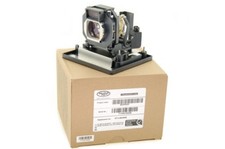 Lampada proiettore/proiettore