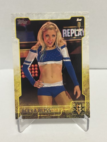 2015 topps wwe - topps, nxt