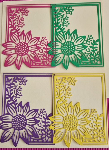 Bellissimi girasole con - 4,