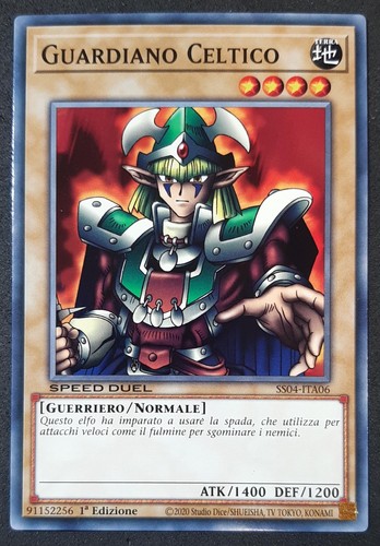 Guardiano celtico italiano - celtico,