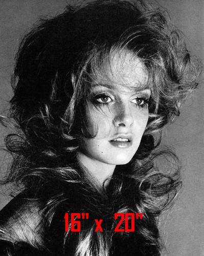 Twiggy parrucchiere spa - twiggy, ~