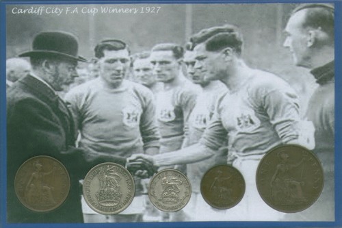 Cardiff city - city, bluebirds)