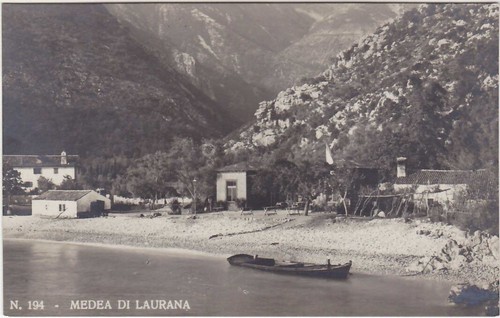 Medea laurana lovran - -,