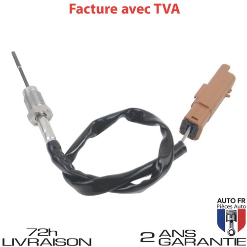 Sonde temperature gaz - sonde,