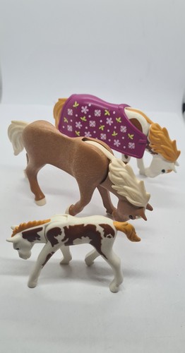 Cavalli pony con sella - cavalli,