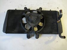 Radiatore acqua Triumph