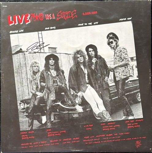 Guns roses r lies - roses, g
