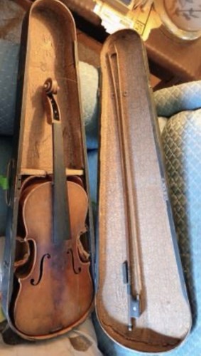 Stradivari conservatory 4 - conservatory, 4/4
