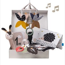 taf toys Montessori Sensoriale