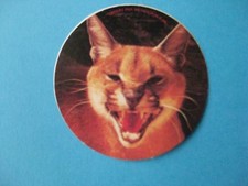 Autocollant ancien : Le CARACAL