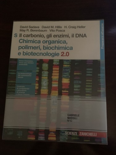 Carbonio gli enzimi il - enzimi,,