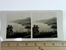 Stereoview card - stereoview,