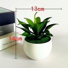 Finto Artificiale Piccolo