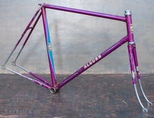 TELAIO E FORCELLA bici pista