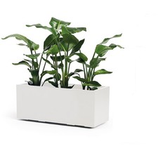 Euro3Plast Fioriera BEBE VERDE 100 cm Bianco