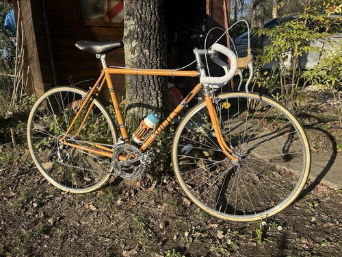 Bici corsa vintage - bici,