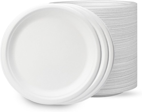 Piatti carta bagasse - piatti,