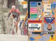 SPRUCH-ceramica panaria-vinavil-N.85-R@R@ CARD CICLISMO MERLIN 96-NEW