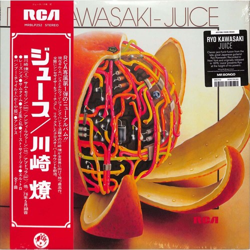 Ryo kawasaki juice - ryo,