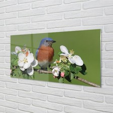 Quadro Tulup Stampa Acrilica