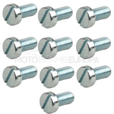 VITE COPRIVENTOLA 10 PEZZI PER