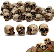 Mini Teschi Decorativi Halloween, Mini Teste Di Scheletri, Figurine Di Teschio M