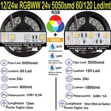 Strip rgbww - strip, (bianco