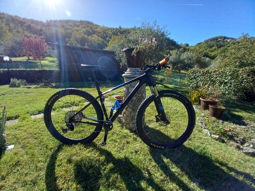 Mountain bike - mountain,
