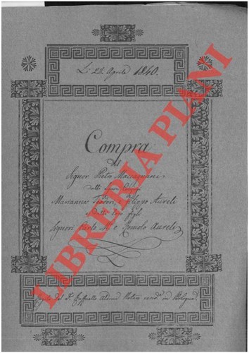Maccagnani aureli compra - /,