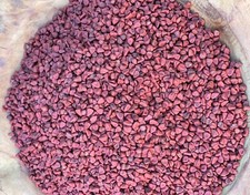 Semi di Annatto 100g Semi di