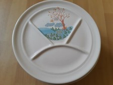  9 piatti fonduta Tiffani