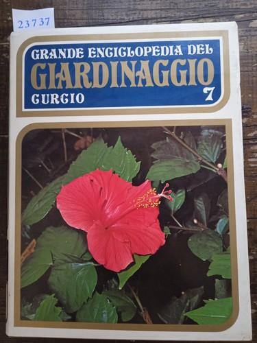 Grande enciclopedia del