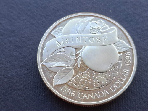 Canada dollaro 1996 argento - canada,