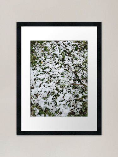 Neve inverno natura - neve,, inverno,