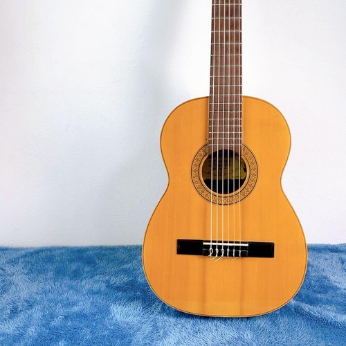 Chitarra acustica classica - acustica,