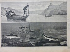 1869 Pesca Salmone Trappola 1