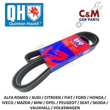 Alternator Drive Belt Fits
