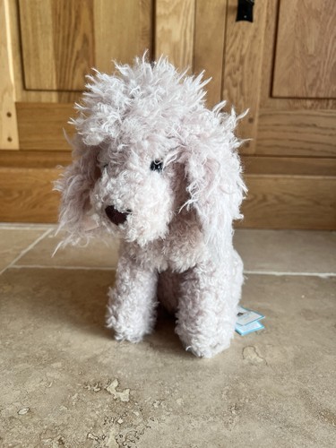 Raro jellycat barboncino - raro,