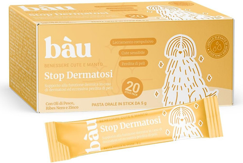 Bau dermatite cane - dermatite, e