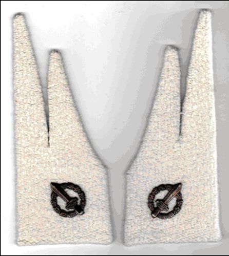 Coppia mostrine guardia - mostrine,