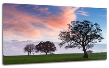 Quadro moderno Paesaggio Tramonto Relax Alberi Stampa su Tela Arte Arredo Casa