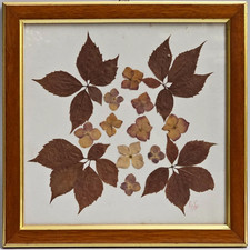 Quadro Fiori Secchi Pressati