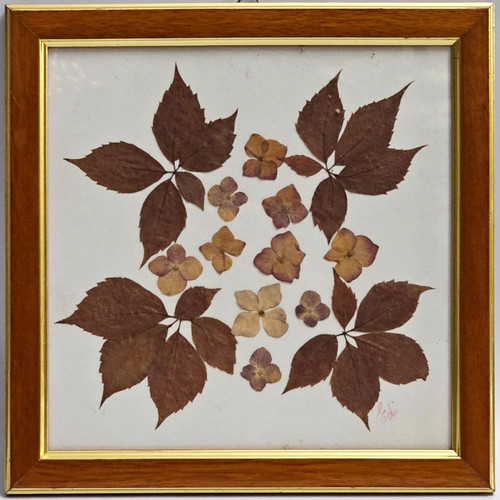 Quadro fiori secchi pressati - quadro,