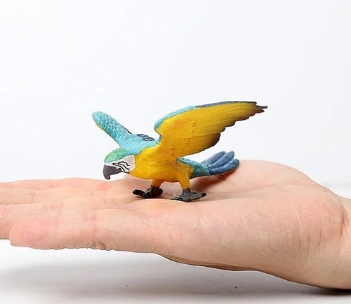 Scarlet ara bird animale - bird,