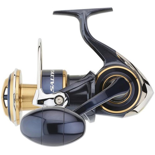 Daiwa saltiga 18000 h - g,