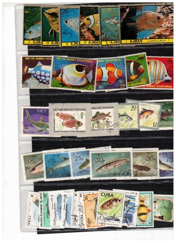 Fish sea creatures - &, 150