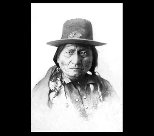 1883 capo toro seduto foto - capo,