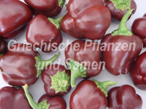 Mini peperoncino - 🔥, 🌶️