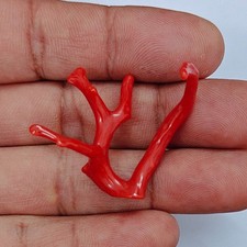 Ramo corallo rosso - ramo,