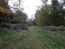 Photo 6x4 Path, Hopton Wood Hopton Castle On the mountain bike trail, hea c2015